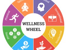 الصحة العامة