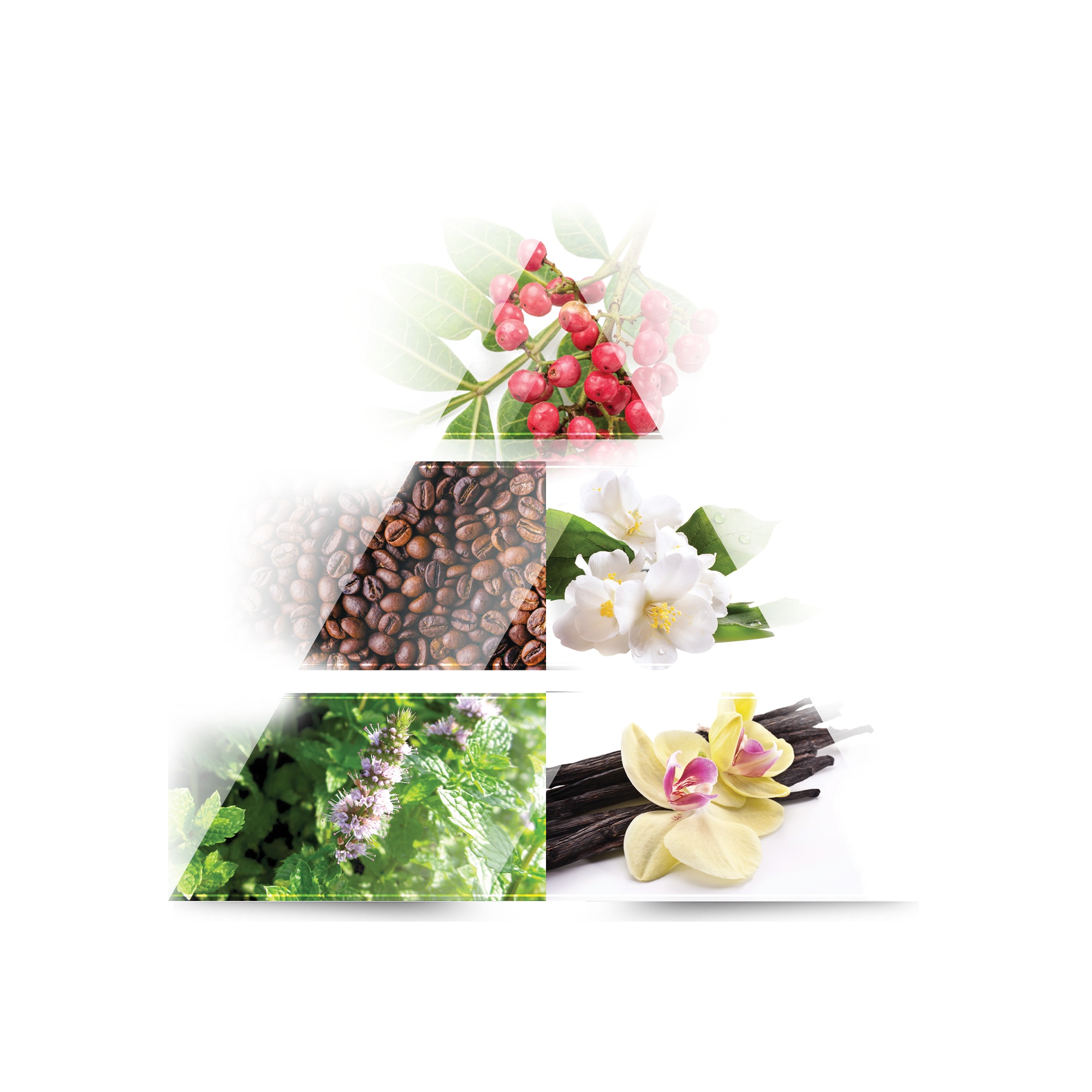 Thumbnail of عطر لاريف توج اوف وومن حجم 100 مل