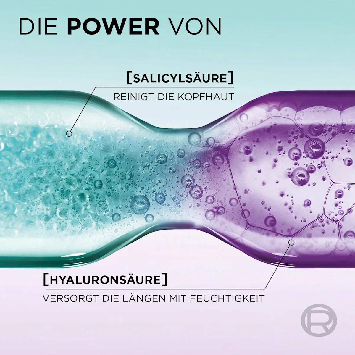 Thumbnail of شامبو لوريال بارس للفروة الدهنية والشعر الجاف بالهايلورونك